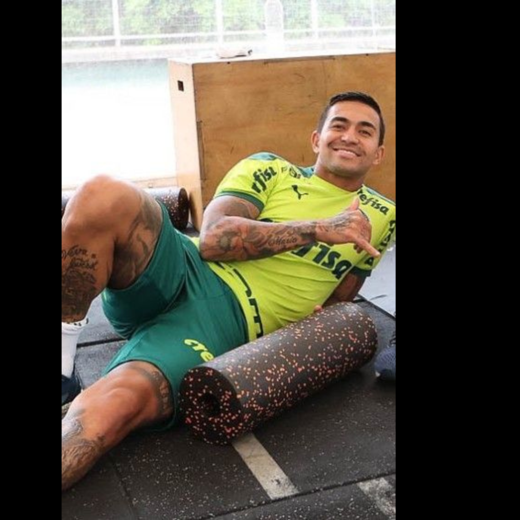 Dudu, do Palmeiras